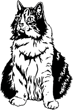 Cat (ink with graphics black - special paint)